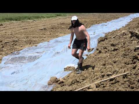 2014.05.22. Sremska Raca - NS SOS TIM 2