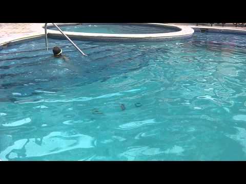 Chloe Diving for rings - Palm beach 2013