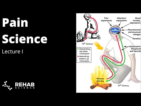 Pain Science: Part 1
