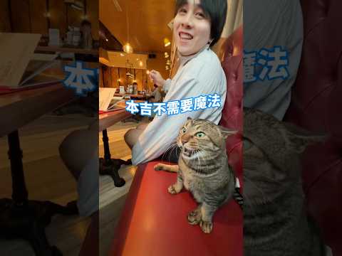 舅舅的乖乖魔法！？🪄🪄 【麻吉太郎】 #癱瘓貓 #貓 #可愛 #cute #shorts