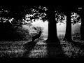 Forseti - Erde (Full Album) 