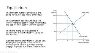 Labor Economics: Supply and Demand II