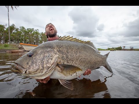 Bass Fishing in Wild Jungle - BLACKWATER Trailer