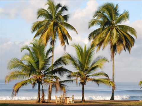 BYE..COLORFUL,AND JD DONEZO