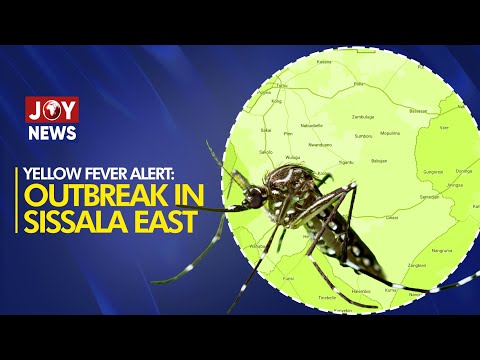 Yellow Fever Alert: Sissala East Records 3 Deaths, 17 Cases; Fulani Communities Affected