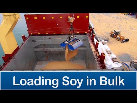 CSA - Loading Soy in Bulk - Arica port, Chile