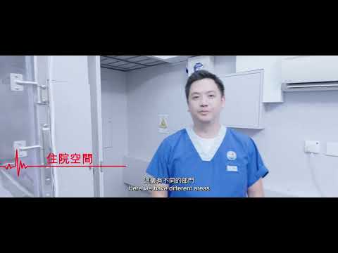 Pets Central 西貢醫院 | Pets Central Sai Kung | 醫院介紹