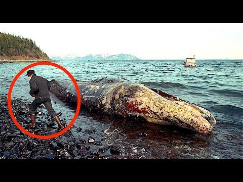 8 Worst Man-Made Environmental Disasters in History