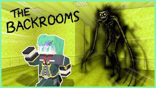 ホラー絶対56すマンが行くバックルームズ【BACKROOMS】【都市伝説】【マインクラフト】