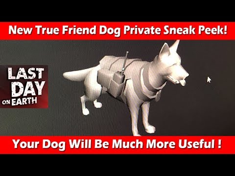New Upgraded True Friend Dog Private Sneak Peek ! Last Day On Earth Survival