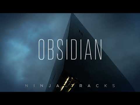 Ninja Tracks - Dream Seekers