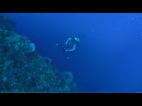 Bloody Bay Wall - Jessica Harvey's Expedition Notebook