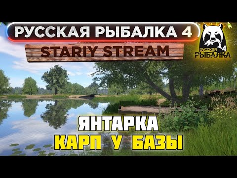 Фото РУССКАЯ РЫБАЛКА 4 | ЯНТАРКА - КАРП У БАЗЫ | РР4 ФАРМ