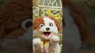 Puppy Yoga with Elmo and Tango! #sesamestreet