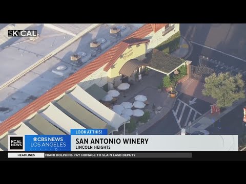 Vinícola San Antonio | Veja isso!