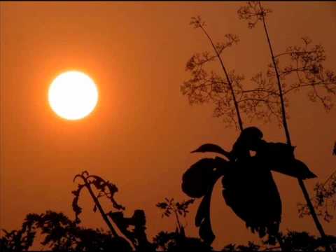 Raag Charukeshi, Ustad Sultan Khan, Sarangi