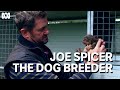 Award Winning Dog Breeder And Trial Dog Champion Joe Spicer Muster Dogs
