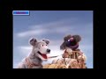 Sesame Street Global Grover Alaska
