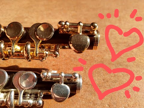 Gudrun Hinze on "How to find your personal piccolo sound"