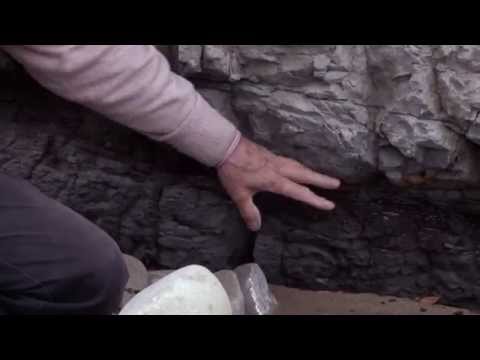 Inverloch Dinosaur  Dig