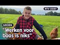 Sem (13) heeft een mobiel kippenhok met 100 kippen | RTV Oost