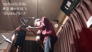 【ライブ映像】ぼんぼんブルース / 秋田健悟【10/14】