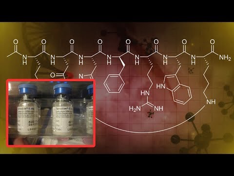 How Long Do Peptides and GH Last Before Degrading?