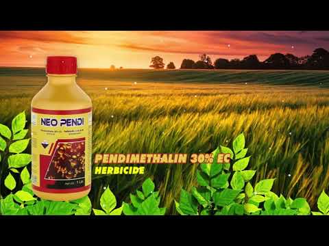 Pendola , Pendimethalin 30% Ec
