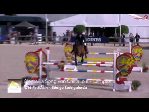 Cristallo II 20191216