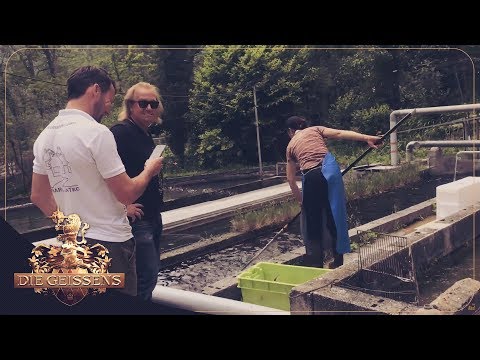 Carmen flüchtet vom Forellenhof 🐟🐟 I Die Geissens