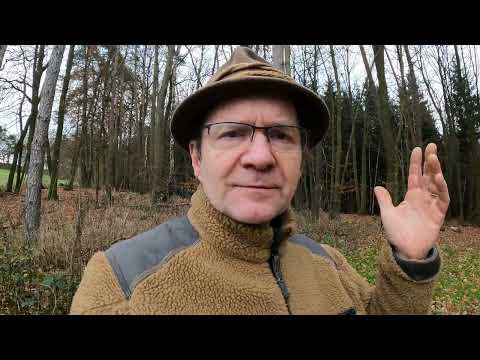 Kommentar zur Roteiche, Baum des Jahres 2025: Invasiv!?