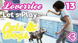 Cats & Dogs #13: Treasure Treats