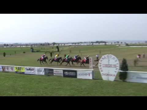 BR, 1. 10. 2016, 3. dostih - Cena firmy ZEMAKO s.r.o.