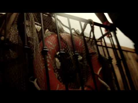 big fees and mugga mont tyshottie we been floating in thes streets