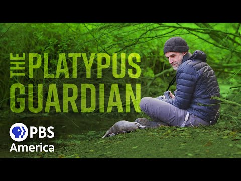 The Platypus Guardian (2023) | Full Documentary