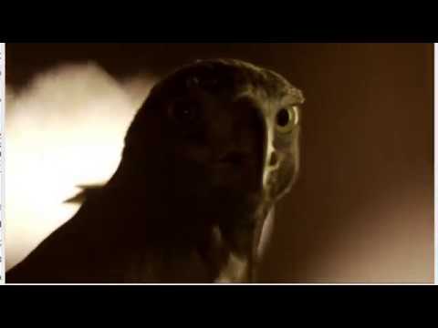 Wallfahrer-Zeitzeremonie (Es endet alles