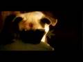 Limbeck - "People Don't Change"