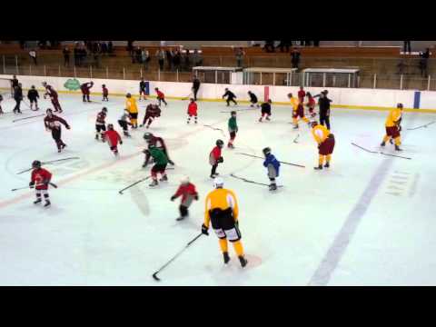 Bambinis et Piccolos avec le Genève Servette (6 nov 2013) - Video