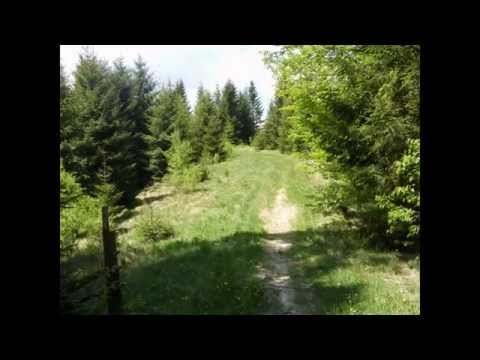 Brodina (Bucovina),România.