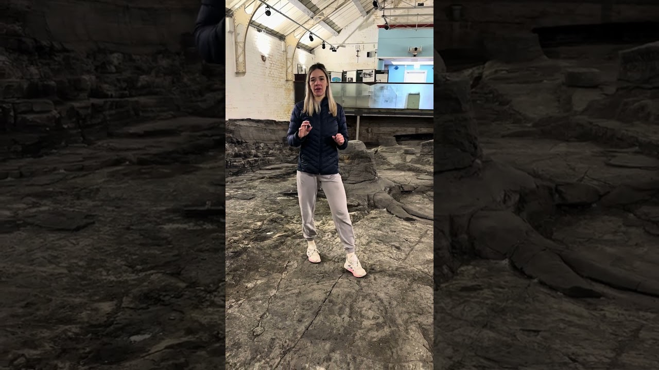 The geology of Scotland - Fossil Grove, Victoria Park, Glasgow