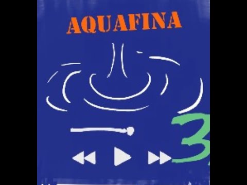 The F.A.K.E - Aquafina (Official Lyric Video)