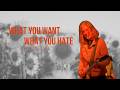The Silos — What You Want, What You Hate