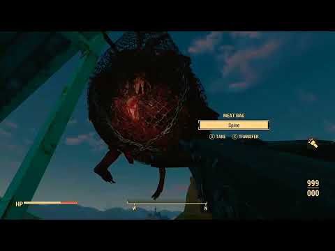 I Just Saw my Life Flash Before my Eyes