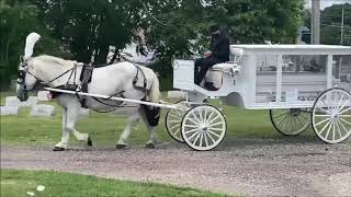 Horse Drawn Hearse for Funeral Procession from Mays Funeral Home to Sunset Cemetery Pennsauken NJ