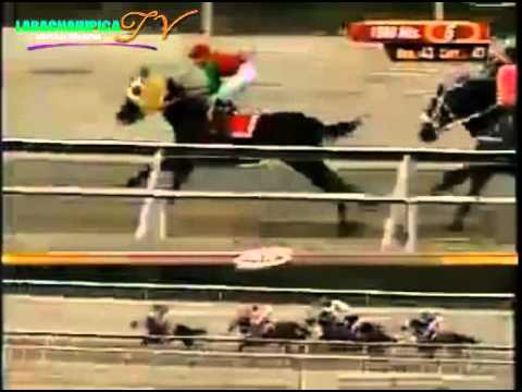 LA RINCADA 5 CARRERA SABADO 07 DE JUNIO DEL 2014