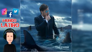 Toke D Keda · Manny Rod · Mr Bachata · Med - LO SIENTO ❤️ Bachata (バチャータ)