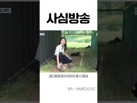 MBC 뉴스기자 사심채우기