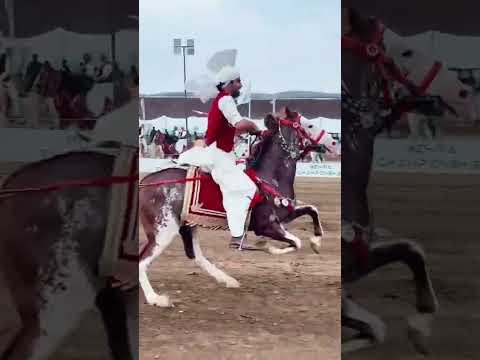 Neza Bazi F9 Park Islamabad 2023 | Day First | Tent Pegging Championship 2023 |Ghousia Hamdania Club