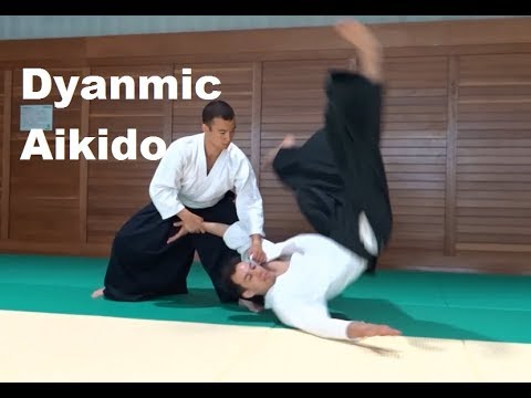 Dynamic and Elegant Aikido - Kevin Ahrlind