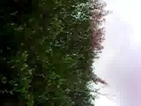 11-8-07 Lori tries the bunny slope